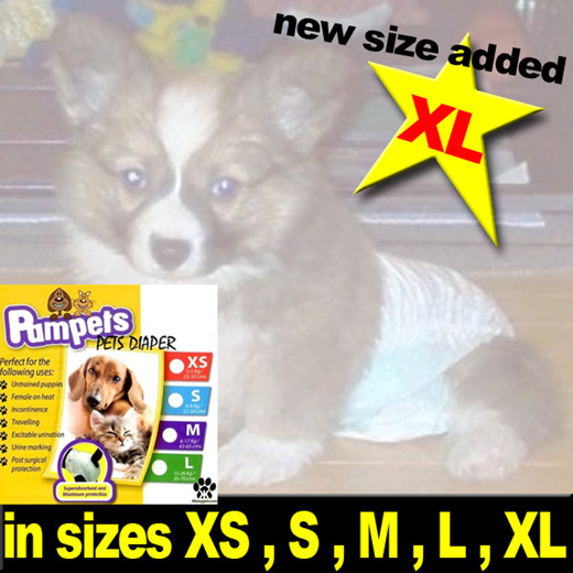 Qoo10 dhks Dog cat diaper dsan csan Pet Care