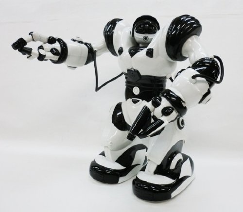 rc robo