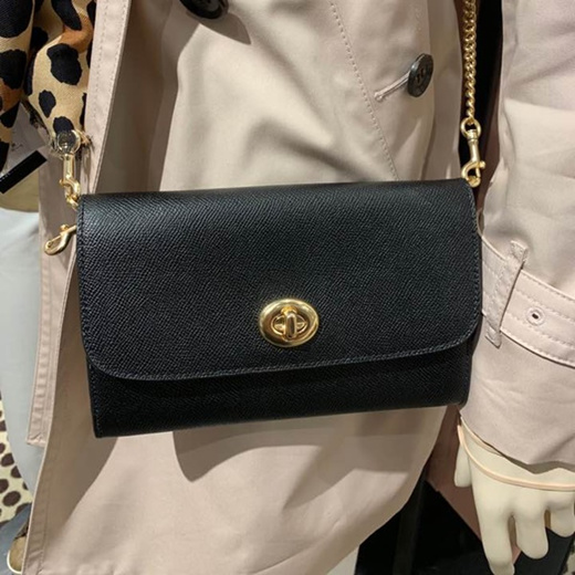 coach wallet on chain crossbody