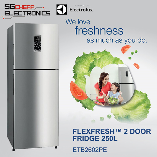 electrolux etb2602pe