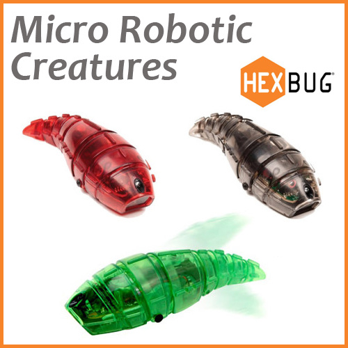 hexbug larva