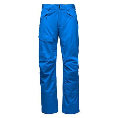 the north face freedom ski pants