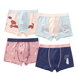 The Squirrel Underpants Homme Panties Men's Underwear Ventilate Shorts  Boxer Briefs - AliExpress