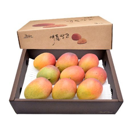 [삼다몰]제주 애플망고(대) 3kg(9~10과)