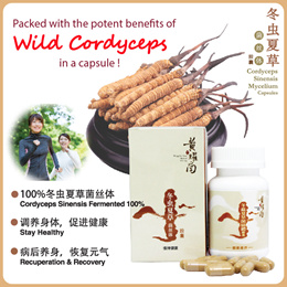 [BUNDLE OF 3]【Wong Yiu Nam Cordyceps Sinensis】~Enhance Immune/Respiratory/Cardiovascular/Ast