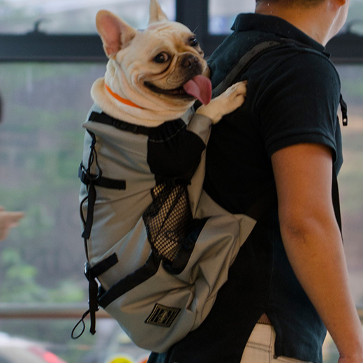 cloth dog carrier