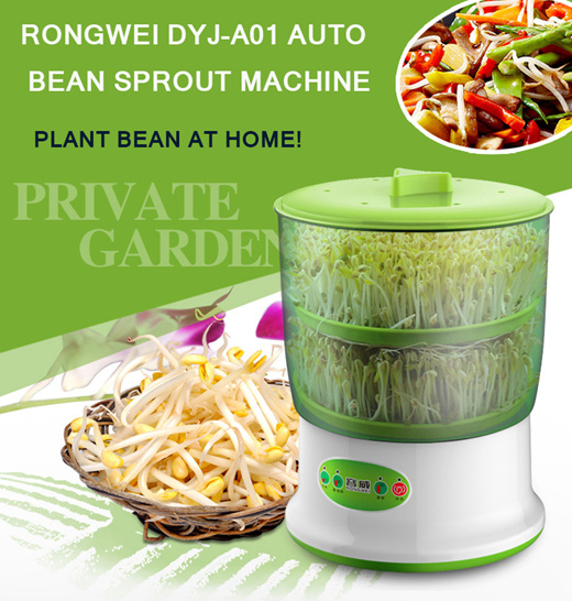 bean sprout mini digital outdoor camera