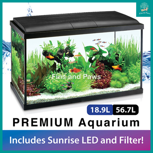 led fish tank