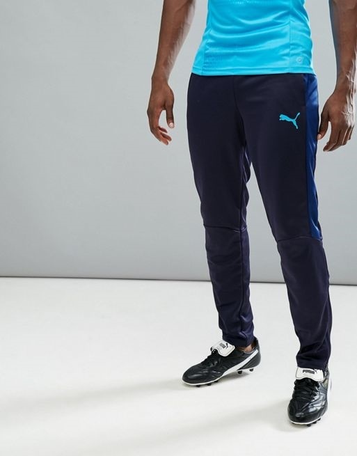 puma evotrg pants