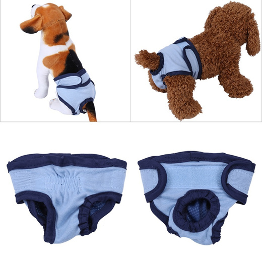 male dog diapers