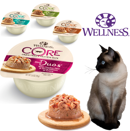 Wellness core duos cat 2024 food