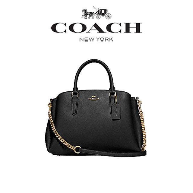 coach carry bag