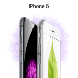 Apple iPhone 6 Grey (64GB)