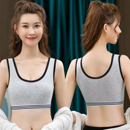 New Comfortable and Sexy Beautiful Back Buckle Bra Small Chest Gather Bra  Without Steel Ring Underwear Thin Women - China Comfortable and Sexy and  Front Button Bra price