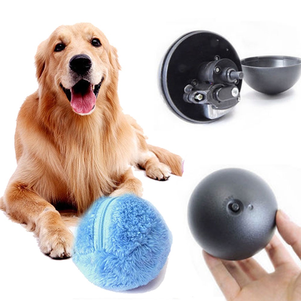 funny dog ball