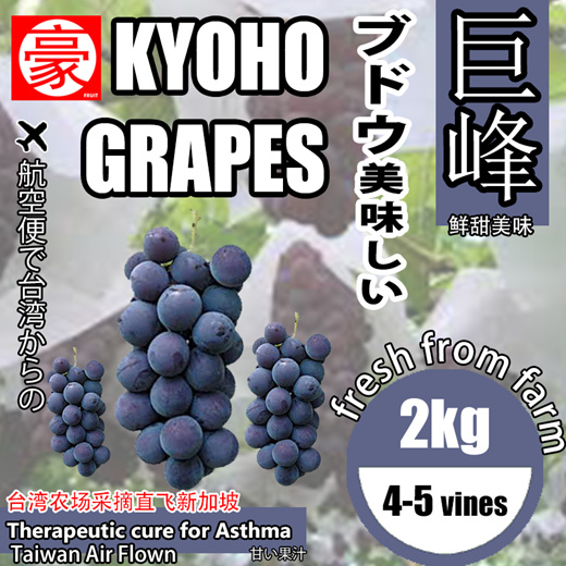 Qoo10 Airflown Grapes Fruits Vegetables