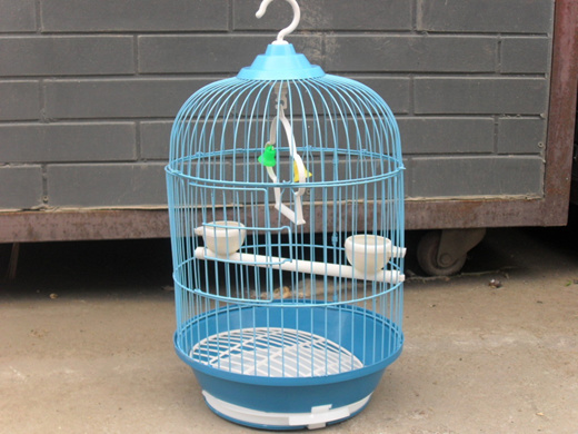 wholesale parrot cages