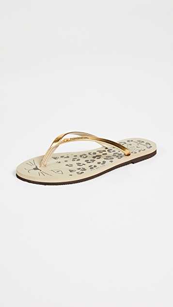 Charlotte Olympia Flip Flops : Shoes
