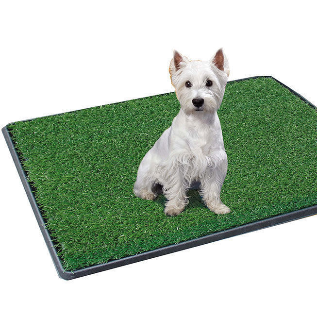 grass patch for dogs