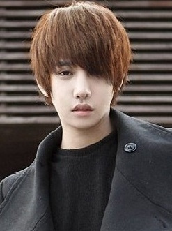 Korean Style Men Wig Light Brown 25220
