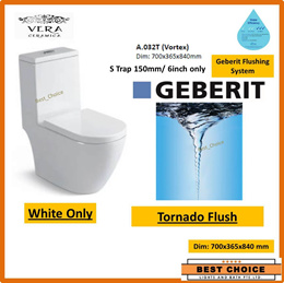 Baron W888 1 piece toilet bowl with Geberit Flushing/ Soft Closing