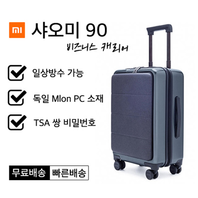 xiaomi business 20 inch