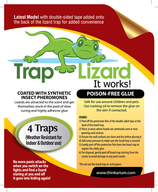 How to Make a Lizard Trap