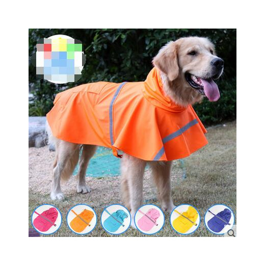 raincoat for labrador retriever