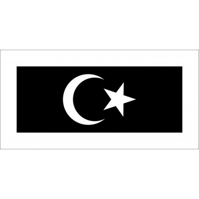 Image result for terengganu flag