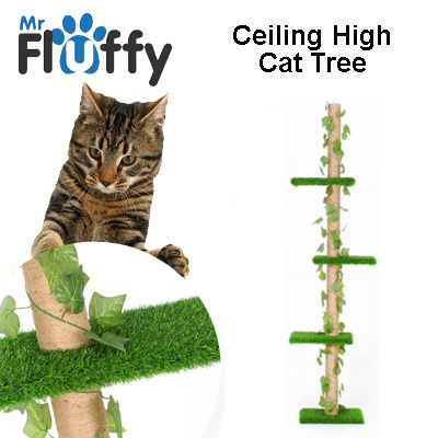 Qoo10 Ceiling Cat Tree Pet Care