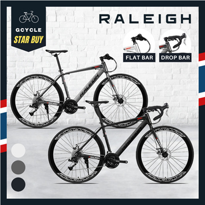 raleigh road bike rl880