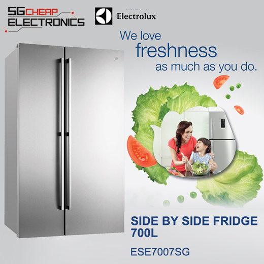 electrolux ese7007sg