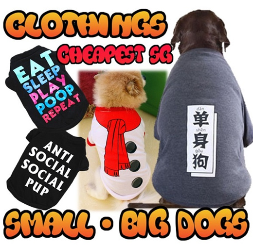 big dog accessories