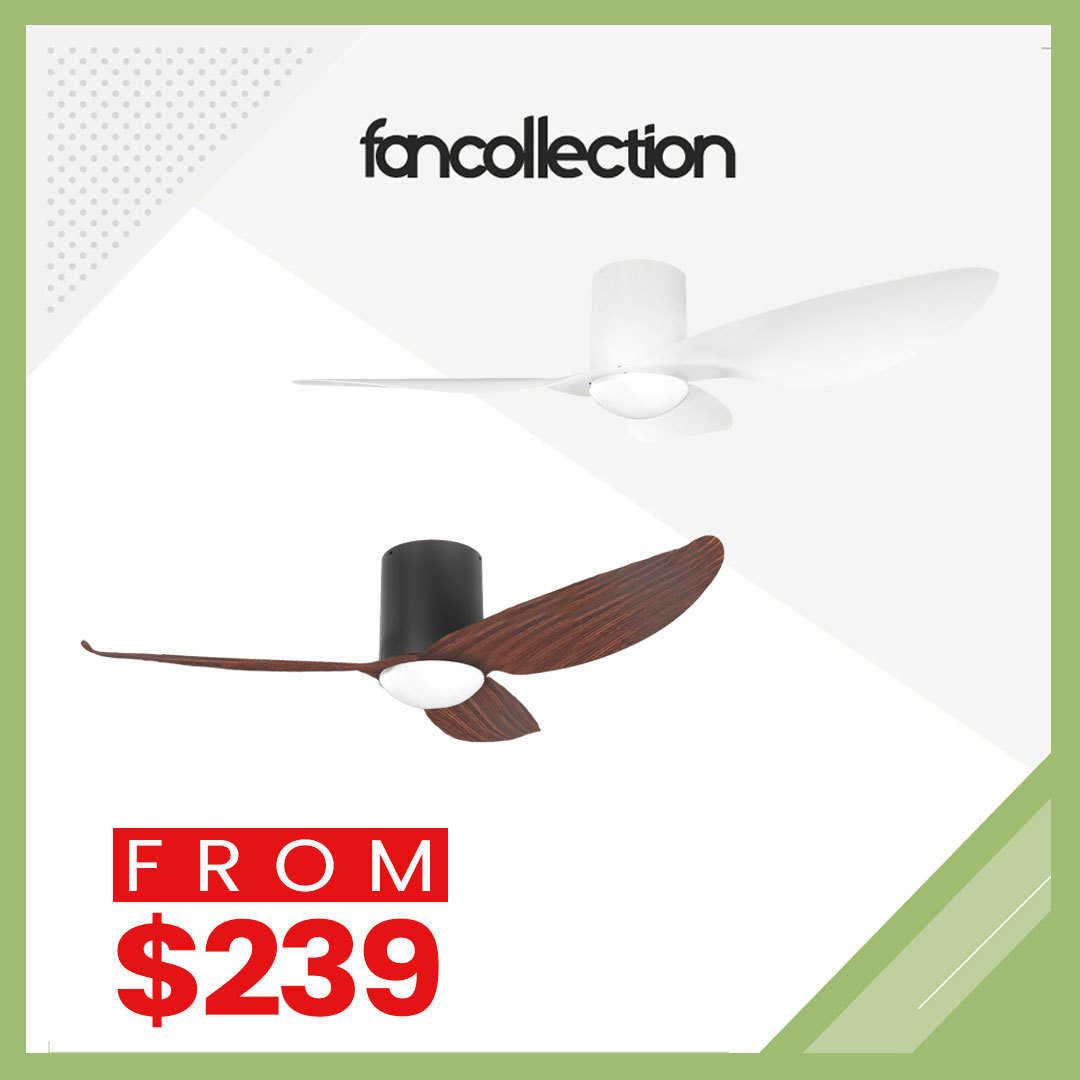 New Launch Sale 38 42 46 50 Ceiling Fans Fcapn Fcfen Fcelm Fcbic Fchaz