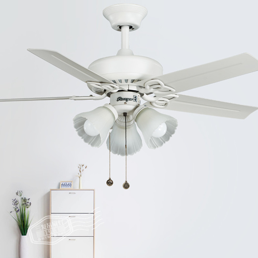 white modern fan