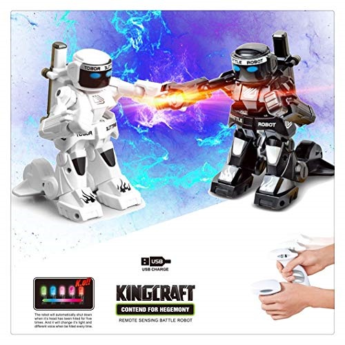 rc fighting robot toys