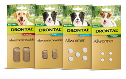 Drontal Allwormer Tablets For Dogs  Cats