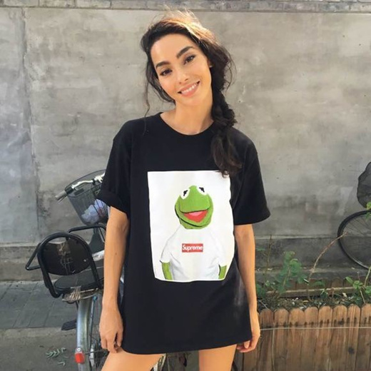 kermit the frog wearing supreme shirt