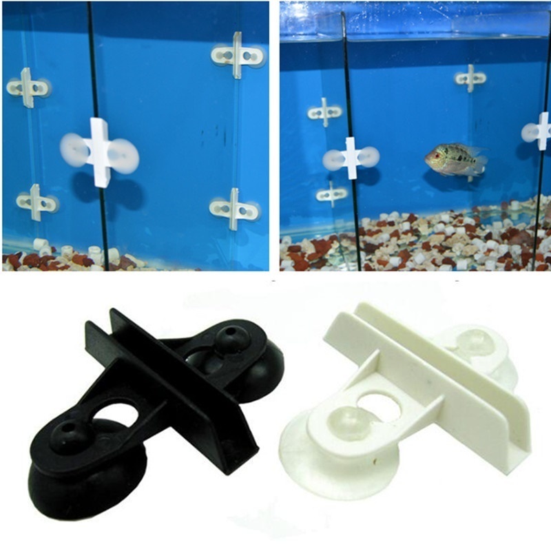 62 Koleksi Aquarium Divider Design Terbaik