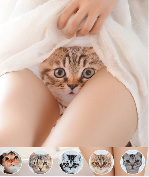 Qoo10 - Lady Cat Underwear panty seluar dalam kucing (9945) : Women's  Clothing