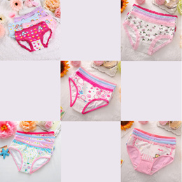 4 Pieces/Lot Children Underwear Cotton Girls Panties Cute Kids
