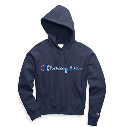 champion reverse weave graphic fleece hoodie