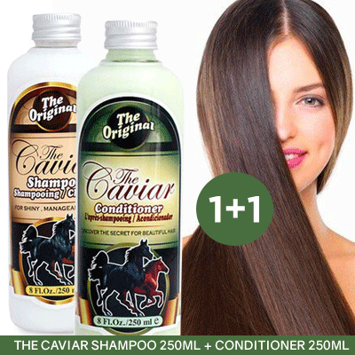 PAKET PERAWATAN RAMBUT CAVIAR ( 1 KUDA SHAMPOO + 1 KUDA CONDITIONER )