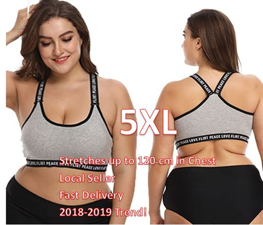 best plus size sports bra 2019