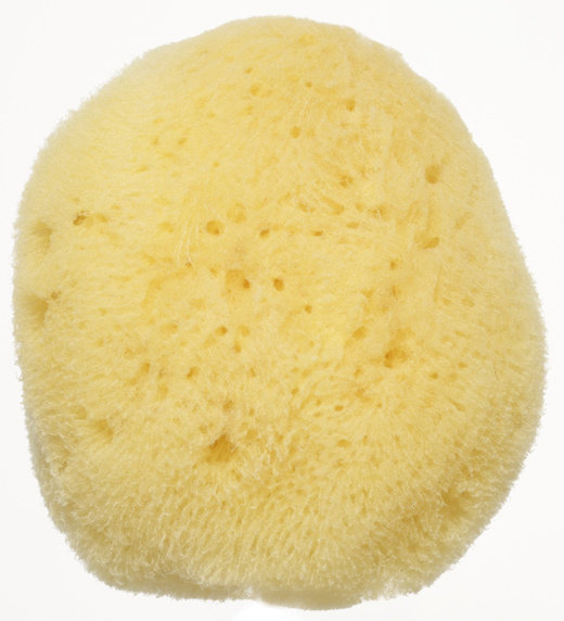 baby body sponge