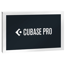 스테인버그 큐베이스 13 프로 Cubase Pro Steinberg 영구소장 윈도우용