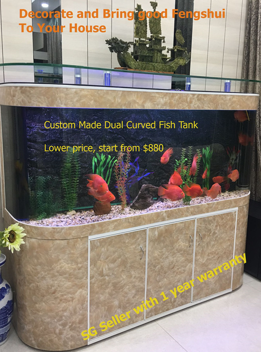 fish tank heels for sale