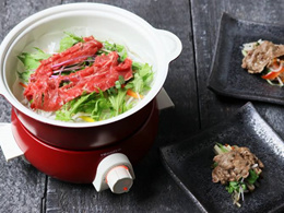 Cookware Recolte Pot Duo Esprit Orange Rpd 2 Or Japan Import Home Astanfish Com