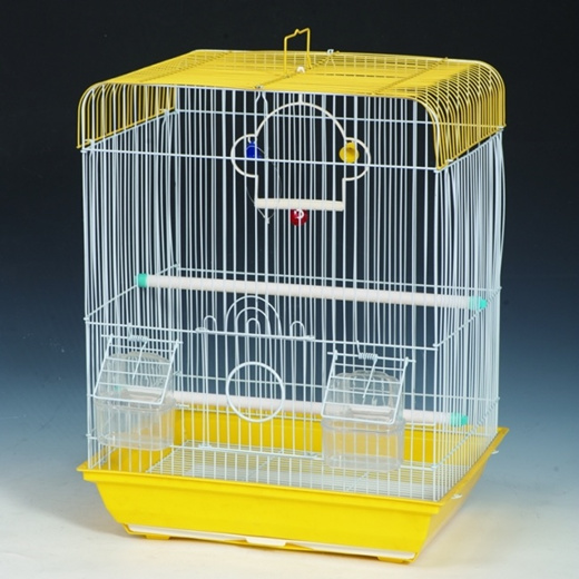 parrot cage bird