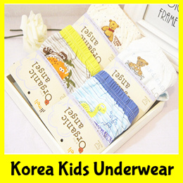 2pcs/Lot Teen Boy Briefs Underwear 4T-20T Big Boy Cotton Soft Male Brief  Man Quality